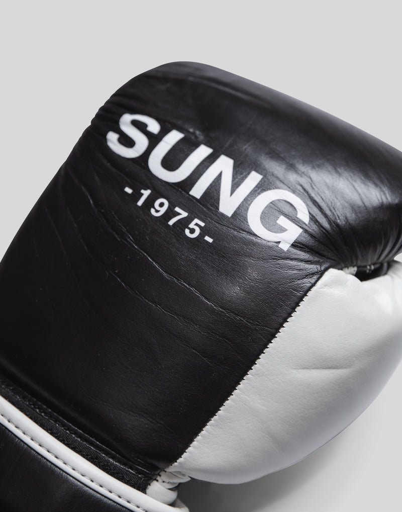 LÝFT x EVERLAST x SUNG Boxing Gloves