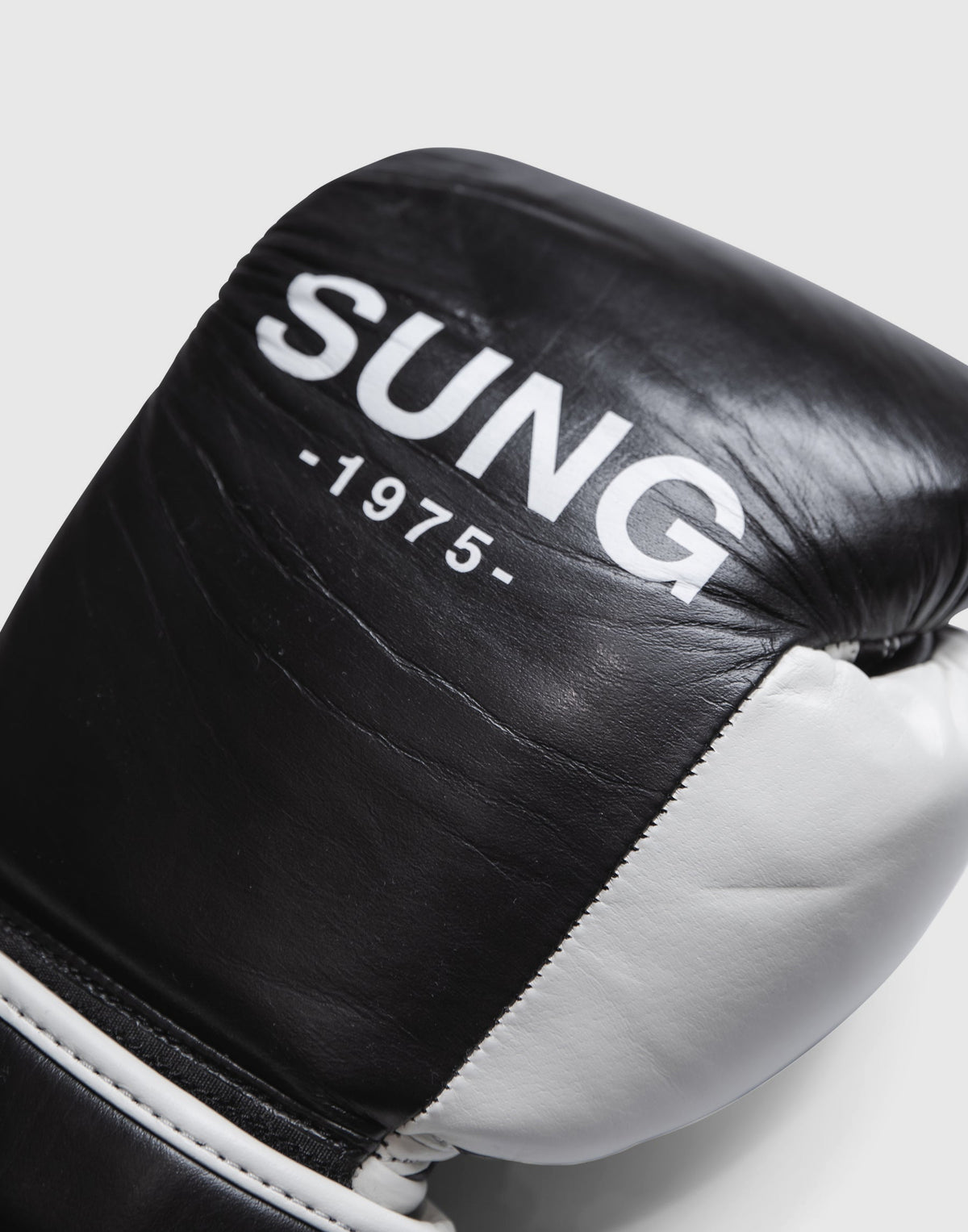 LÝFT x EVERLAST x SUNG Boxing Gloves