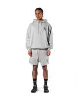 LÝFT × XXX Limited Flag Hoodie - Grey