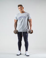 College Logo Standard T-Shirt - Grey