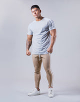 Slim Fit 2 Line T-Shirt - Grey