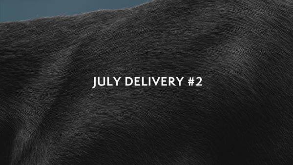 JUL Delivery #2 Item Details