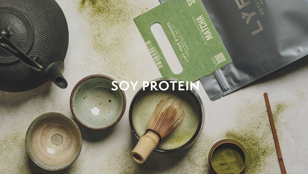 11.04 SOY PROTEIN DEBUT