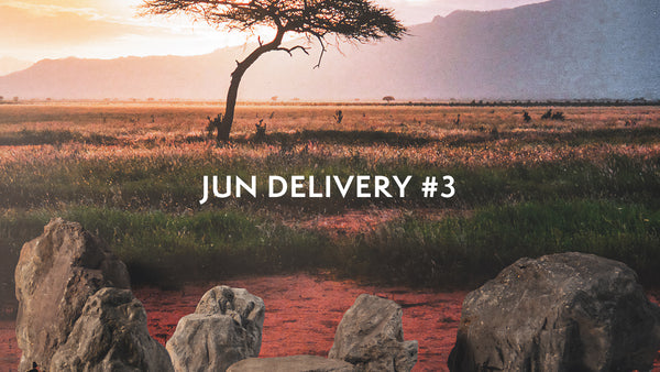 JUN DELIVERY #3