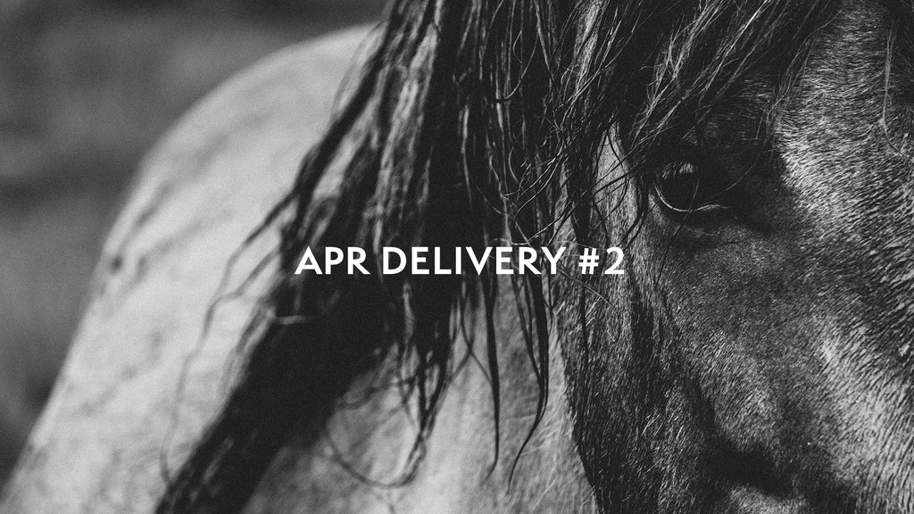 APR DELIVERY #2