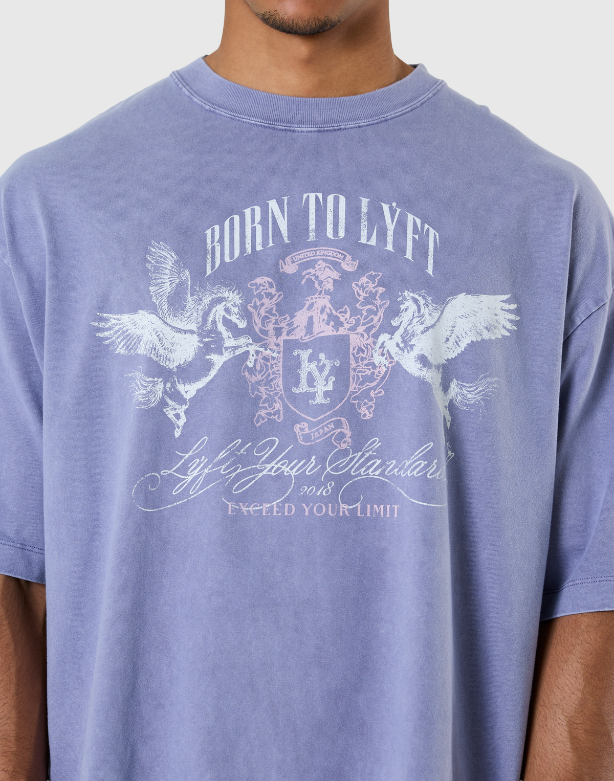 Pegasus Emblem Graphic Vintage Big T-Shirt - Navy