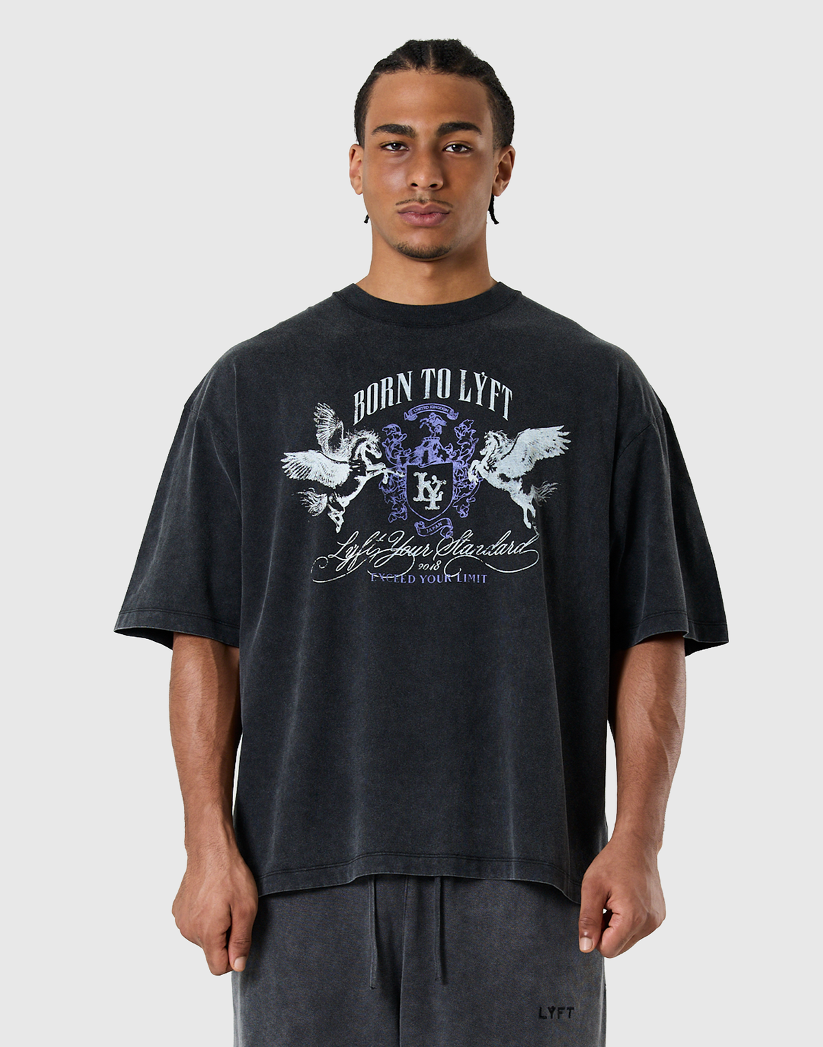 Pegasus Emblem Graphic Vintage Big T-Shirt - Black