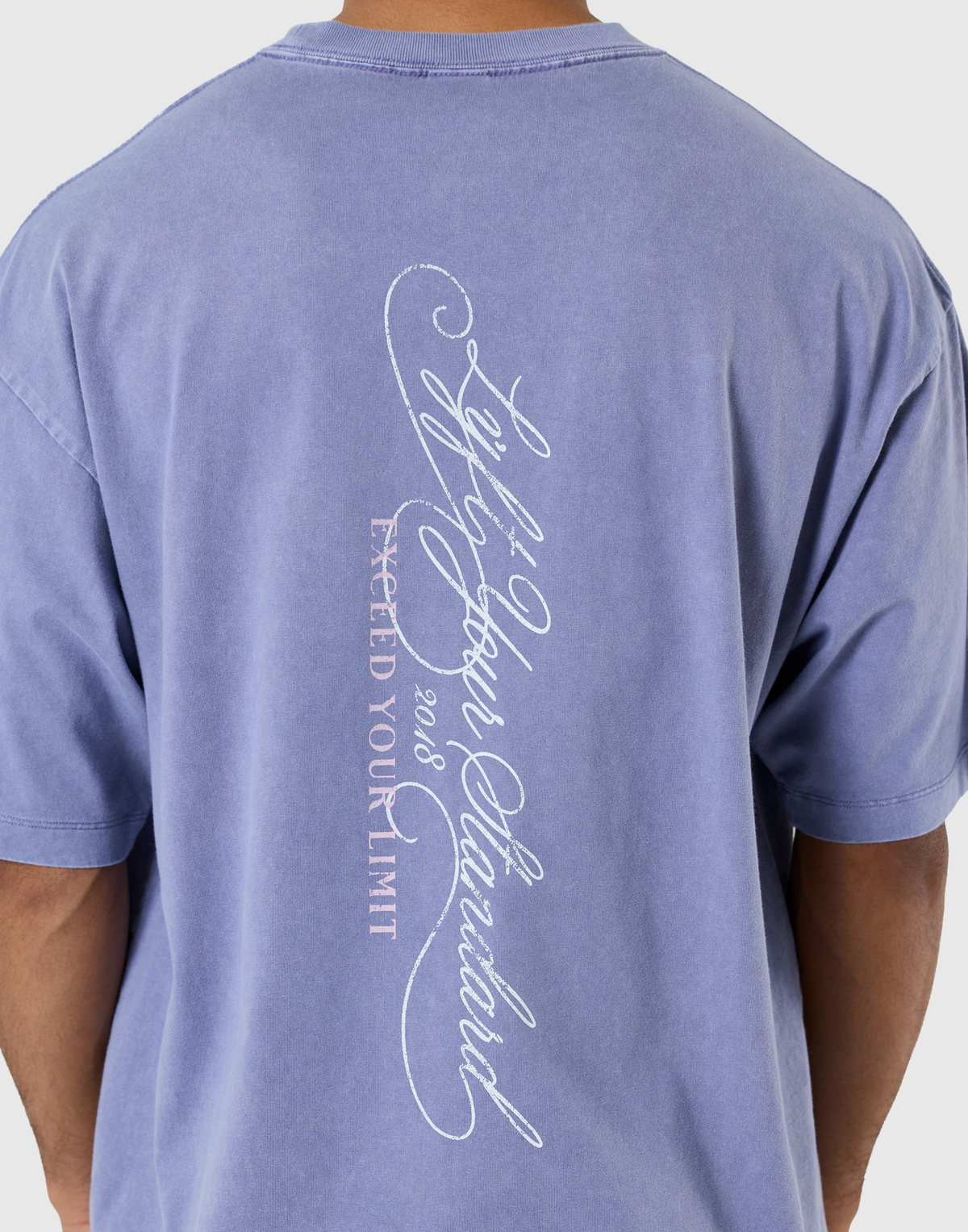 Pegasus Emblem Graphic Vintage Big T-Shirt - Navy