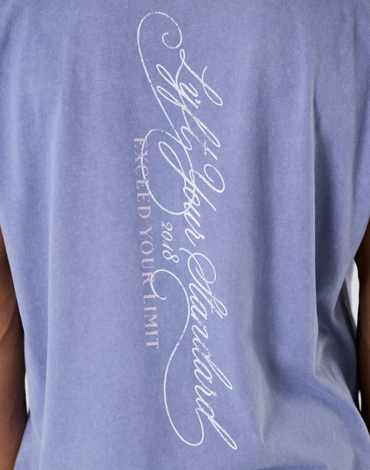 Pegasus Emblem Graphic Vintage Tanktop - Navy