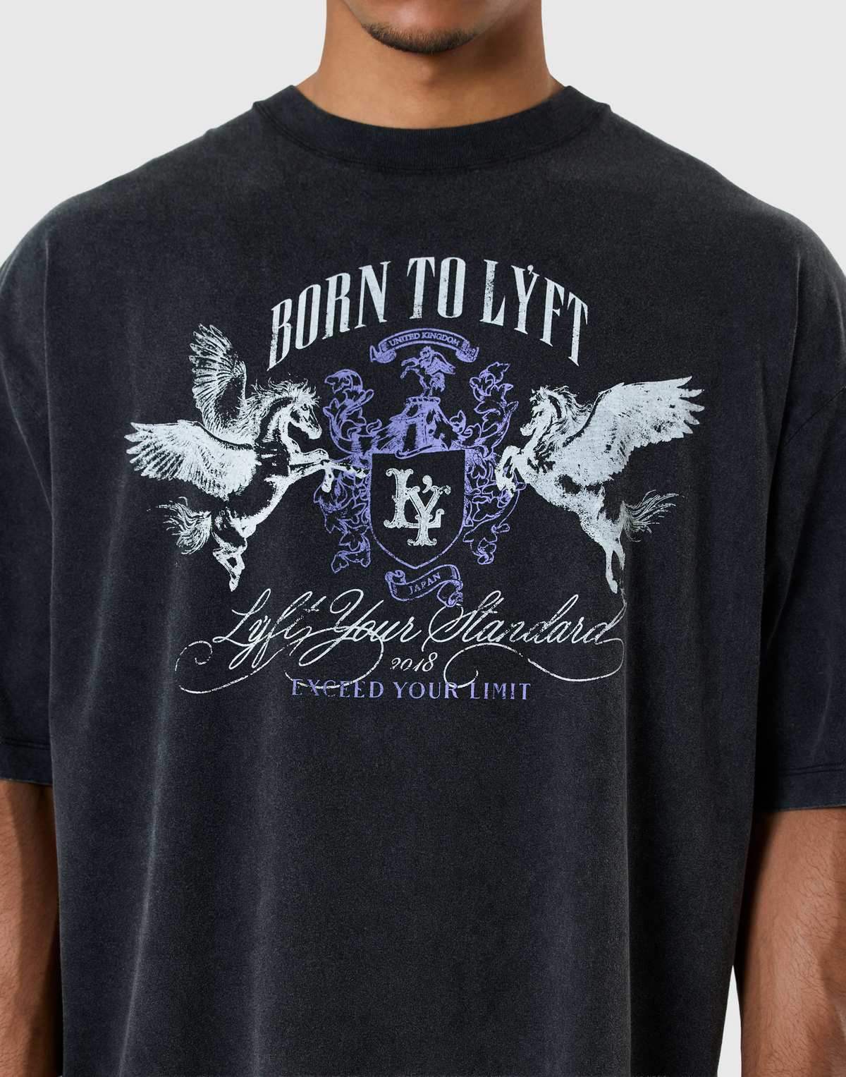 Pegasus Emblem Graphic Vintage Big T-Shirt - Black
