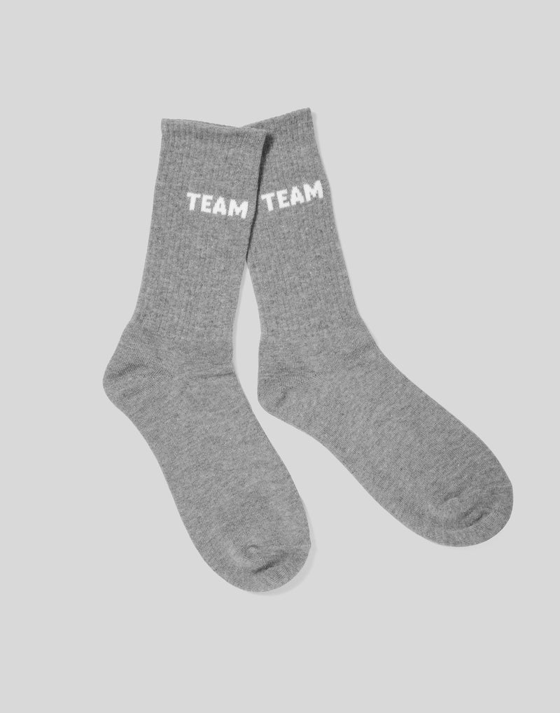 Team LÝFT Socks - Grey