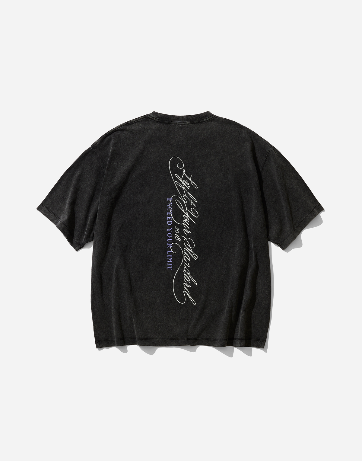 Pegasus Emblem Graphic Vintage Big T-Shirt - Black