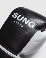 LÝFT x EVERLAST x SUNG Boxing Gloves