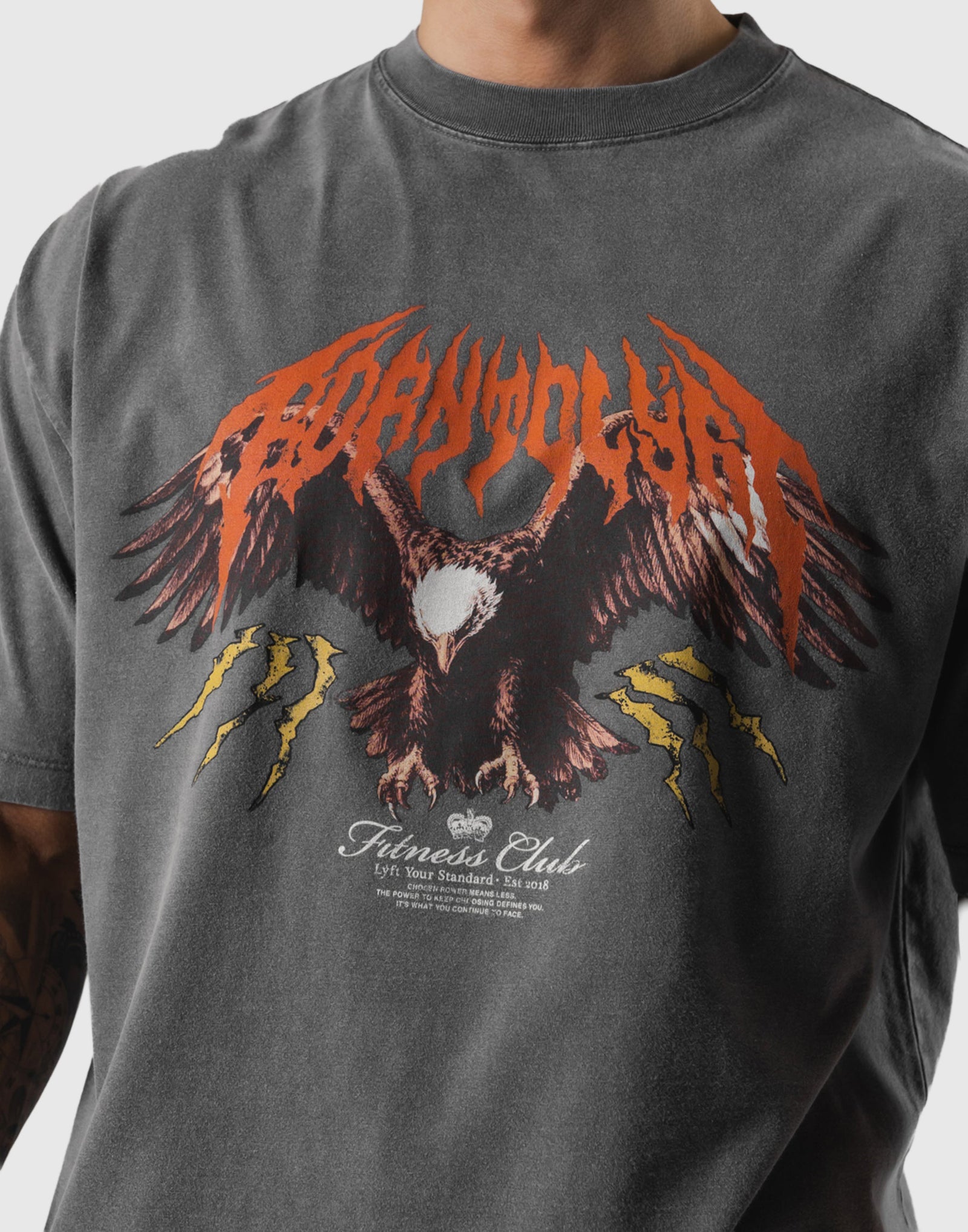 Eagle Graphic Vintage Big T-Shirt - D.Grey – LÝFT