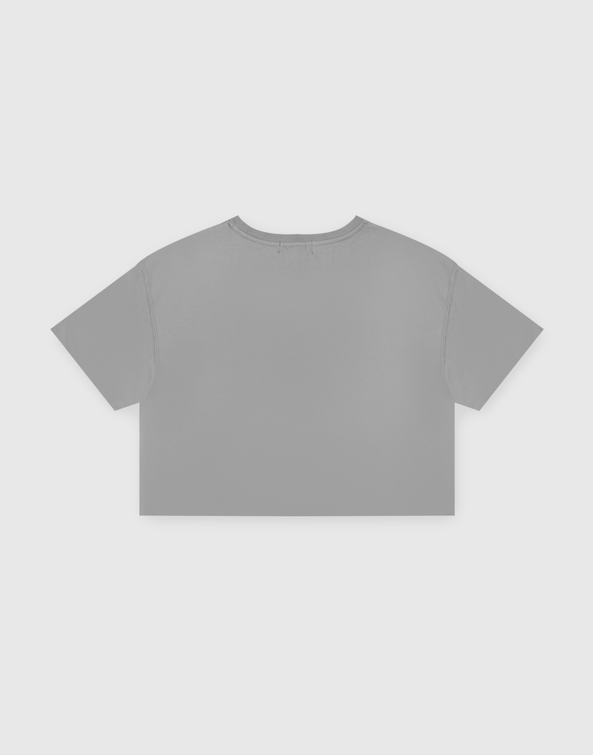 LÝFT × WIND AND SEA Limited Logo Wide Cropped T-Shirt - Grey