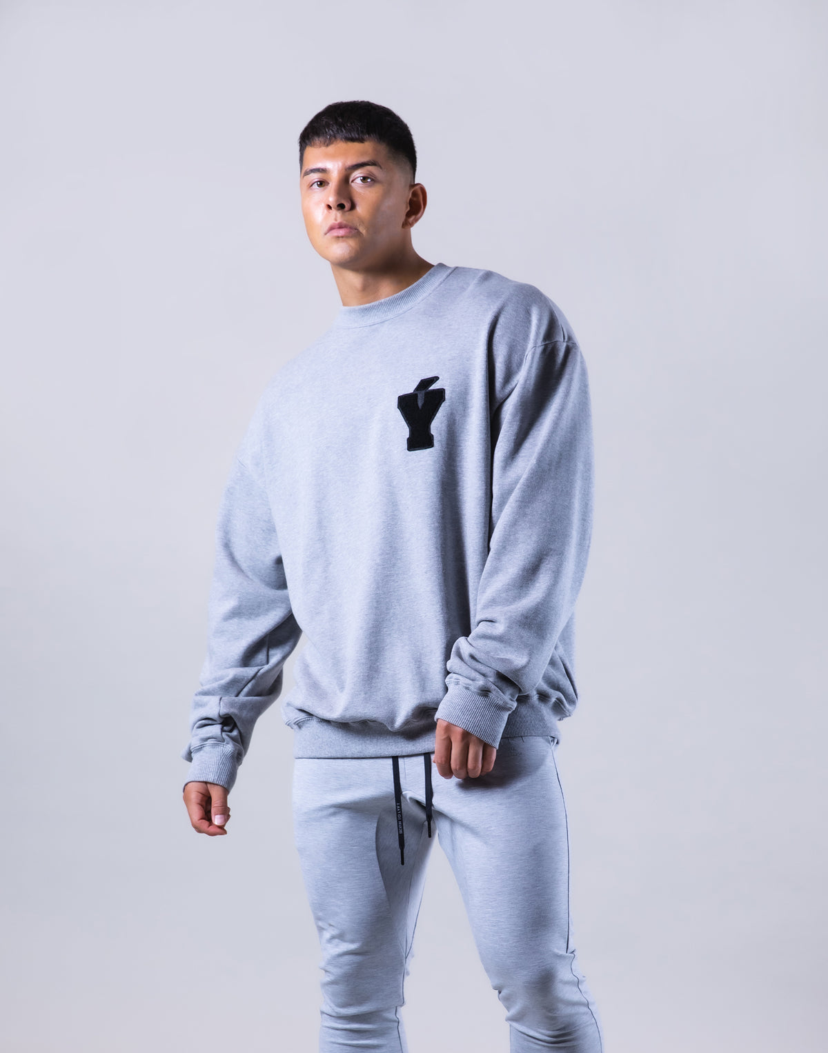 Y Wappen Oversize Crewneck Sweat - Grey