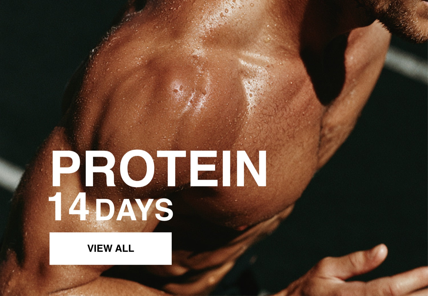 PROTEIN 14 DAYS